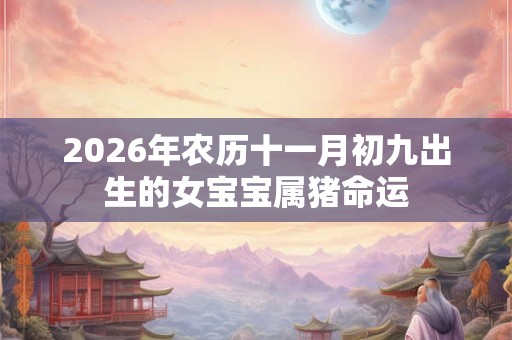2026年农历十一月初九出生的女宝宝属猪命运