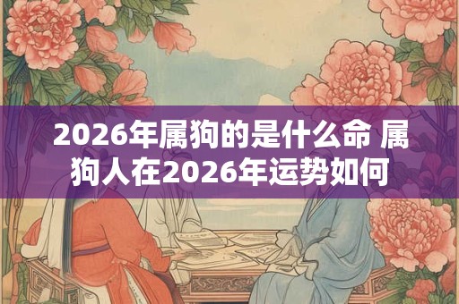 2026年属狗的是什么命 属狗人在2026年运势如何