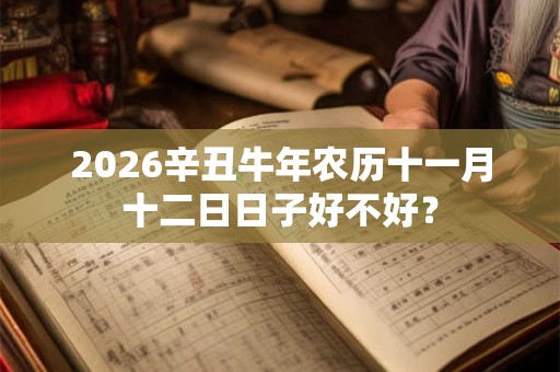 2026辛丑牛年农历十一月十二日日子好不好？