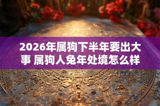 2026年属狗下半年要出大事 属狗人兔年处境怎么样 2026年属狗下半年要出大事 属狗人兔年处境怎么样