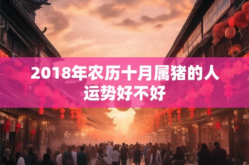 2018年农历十月属猪的人运势好不好