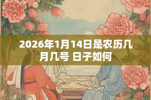 2026年1月14日是农历几月几号 日子如何