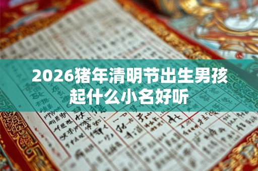 2026猪年清明节出生男孩起什么小名好听