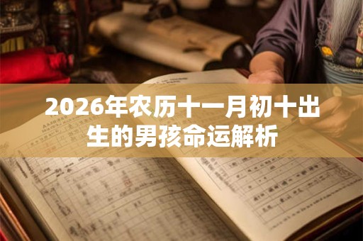 2026年农历十一月初十出生的男孩命运解析