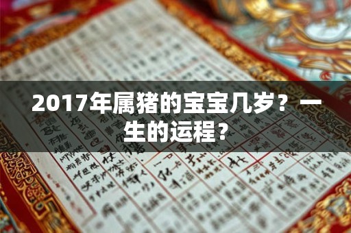 2017年属猪的宝宝几岁?一生的运程? 2017年属猪的宝宝几岁?一生的运程?
