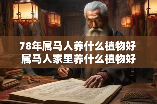 78年属马人养什么植物好 属马人家里养什么植物好