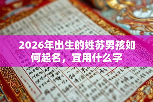 2026年出生的姓苏男孩如何起名，宜用什么字