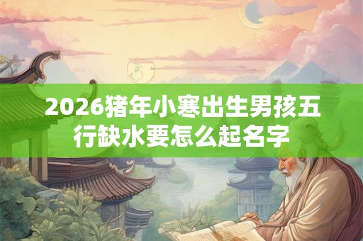 2026猪年小寒出生男孩五行缺水要怎么起名字
