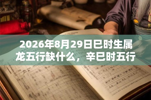 2026年8月29日巳时生属龙五行缺什么，辛巳时五行缺什么