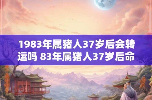 1983年属猪人37岁后会转运吗 83年属猪人37岁后命运如何