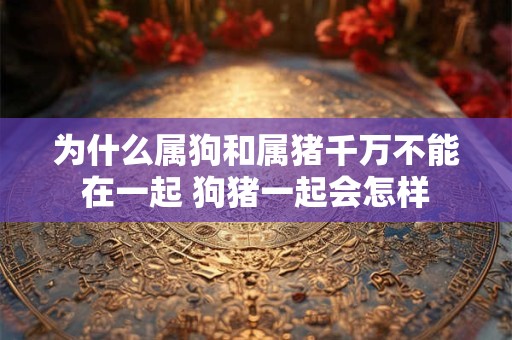 为什么属狗和属猪千万不能在一起 狗猪一起会怎样