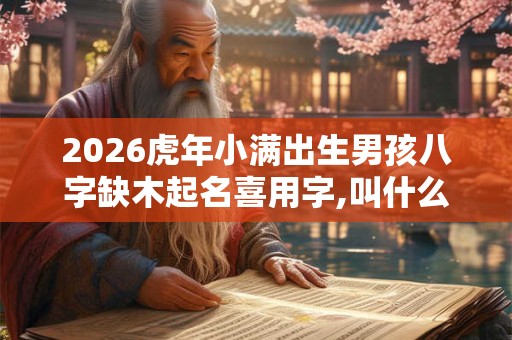 2026虎年小满出生男孩八字缺木起名喜用字,叫什么好