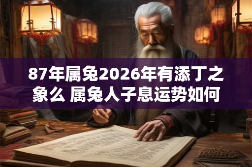 87年属兔2026年有添丁之象么 属兔人子息运势如何