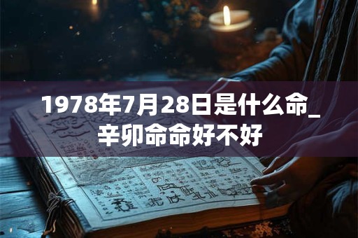 1978年7月28日是什么命_辛卯命命好不好
