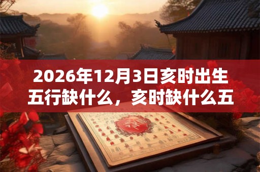 2026年12月3日亥时出生五行缺什么，亥时缺什么五行