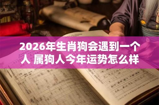 2026年生肖狗会遇到一个人 属狗人今年运势怎么样 2026年生肖狗会遇到一个人 属狗人今年运势怎么样
