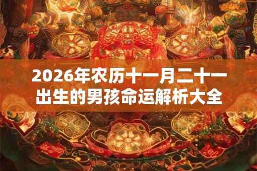 2026年农历十一月二十一出生的男孩命运解析大全