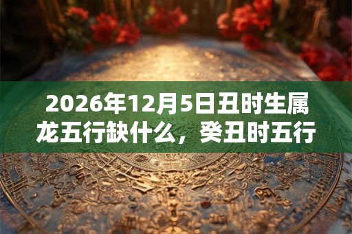 2026年12月5日丑时生属龙五行缺什么，癸丑时五行缺什么