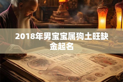 2018年男宝宝属狗土旺缺金起名 2018年男宝宝属狗土旺缺金起名