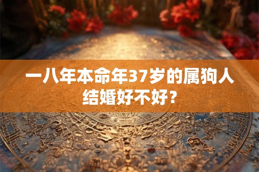 一八年本命年37岁的属狗人结婚好不好？