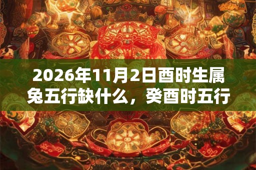 2026年11月2日酉时生属兔五行缺什么，癸酉时五行缺什么