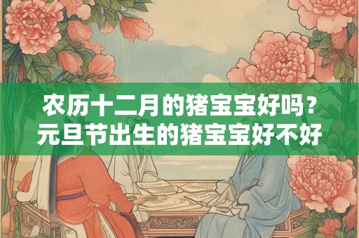 农历十二月的猪宝宝好吗？元旦节出生的猪宝宝好不好？