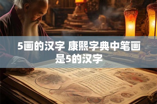 5画的汉字 康熙字典中笔画是5的汉字