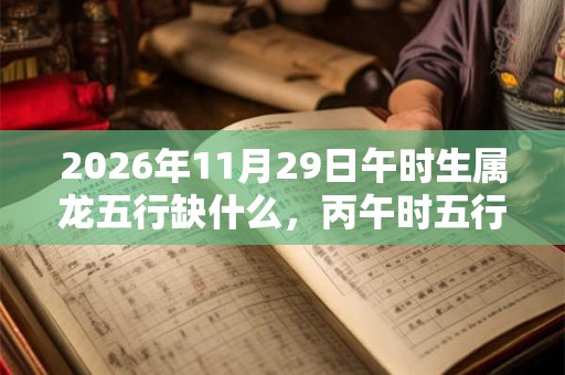 2026年11月29日午时生属龙五行缺什么，丙午时五行缺什么