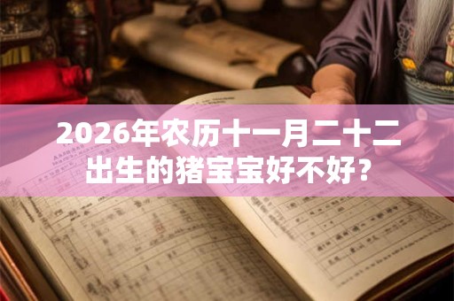 2026年农历十一月二十二出生的猪宝宝好不好？