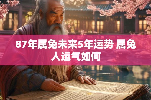 87年属兔未来5年运势 属兔人运气如何 87年属兔未来5年运势 属兔人运气如何