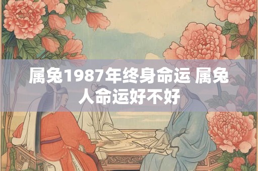 属兔1987年终身命运 属兔人命运好不好 属兔1987年终身命运 属兔人命运好不好