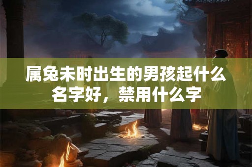 属兔未时出生的男孩起什么名字好，禁用什么字