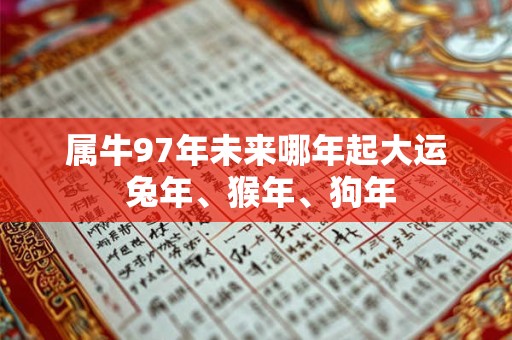 属牛97年未来哪年起大运 兔年、猴年、狗年