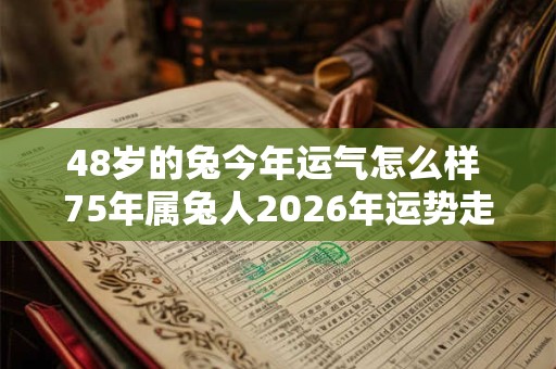 48岁的兔今年运气怎么样 75年属兔人2026年运势走向 48岁的兔今年运气怎么样 75年属兔人2026年运势走向