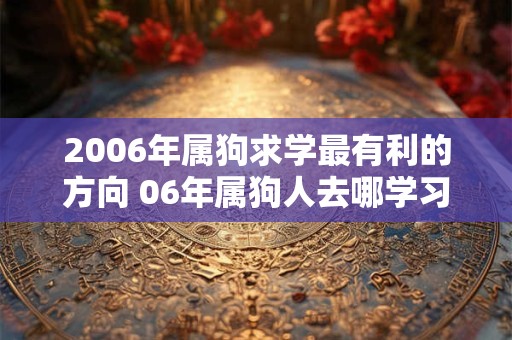 2006年属狗求学最有利的方向 06年属狗人去哪学习好