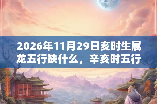 2026年11月29日亥时生属龙五行缺什么，辛亥时五行缺什么