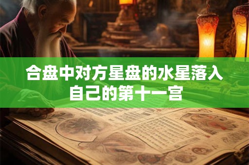 合盘中对方星盘的水星落入自己的第十一宫