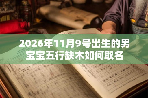 2026年11月9号出生的男宝宝五行缺木如何取名