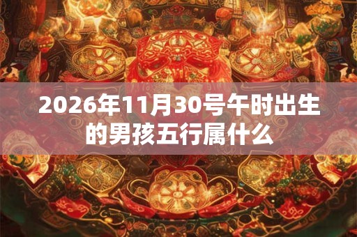 2026年11月30号午时出生的男孩五行属什么