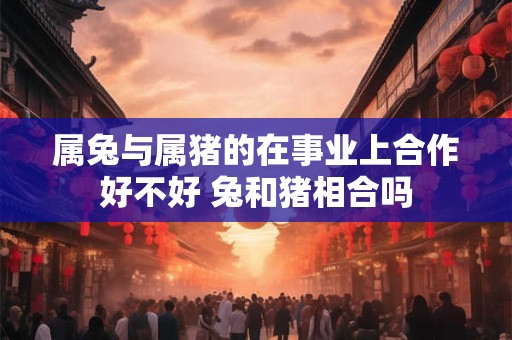 属兔与属猪的在事业上合作好不好 兔和猪相合吗