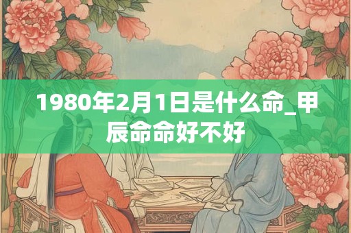 1980年2月1日是什么命_甲辰命命好不好