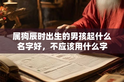 属狗辰时出生的男孩起什么名字好，不应该用什么字