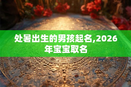处暑出生的男孩起名,2026年宝宝取名
