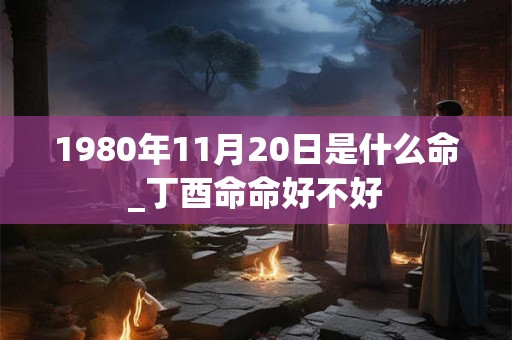 1980年11月20日是什么命_丁酉命命好不好