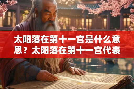 太阳落在第十一宫是什么意思？太阳落在第十一宫代表什么？