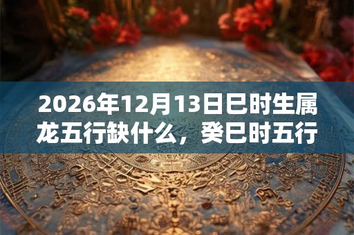 2026年12月13日巳时生属龙五行缺什么，癸巳时五行缺什么