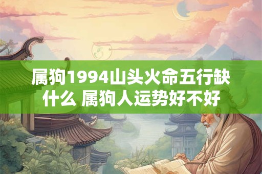 属狗1994山头火命五行缺什么 属狗人运势好不好