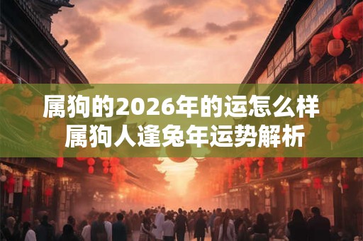 属狗的2026年的运怎么样 属狗人逢兔年运势解析 属狗的2026年的运怎么样 属狗人逢兔年运势解析
