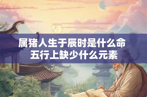 属猪人生于辰时是什么命 五行上缺少什么元素