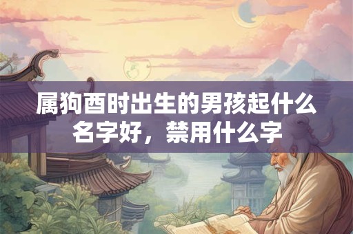 属狗酉时出生的男孩起什么名字好，禁用什么字